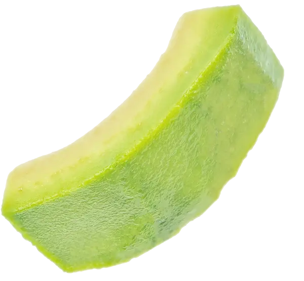 Aguacate-1