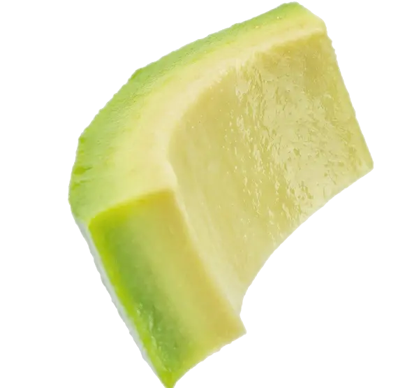 Aguacate-2