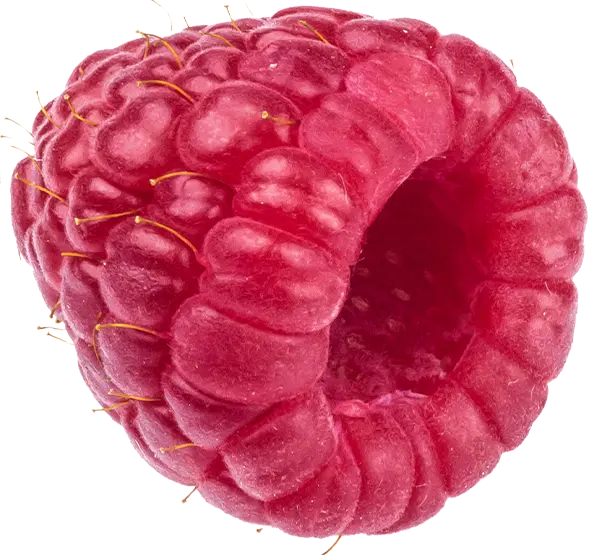 berry1