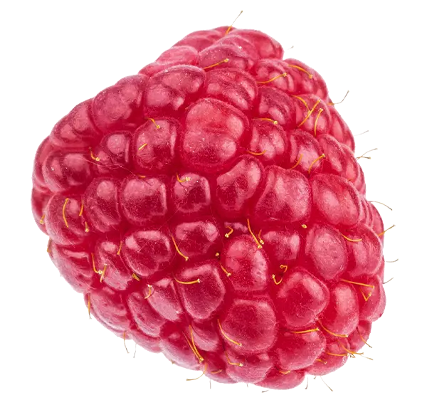 berry2