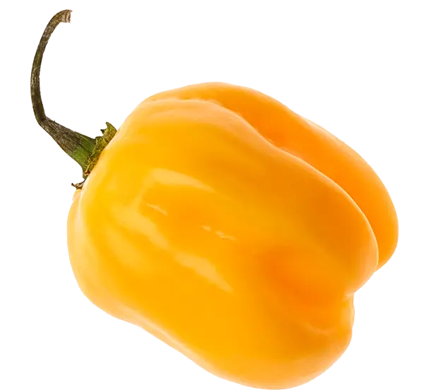 habanero1